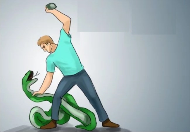 قتل الثعبان في المنام هل يعني التمكن من عدو في الحقيقة
